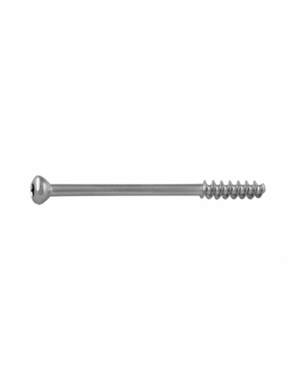 Cancellous Screw