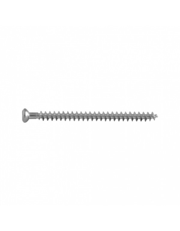 Cancellous Screw