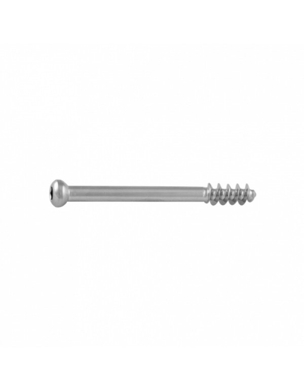 Cancellous Screw