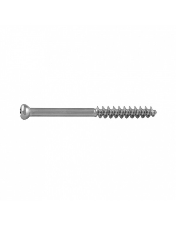 Cancellous Screw