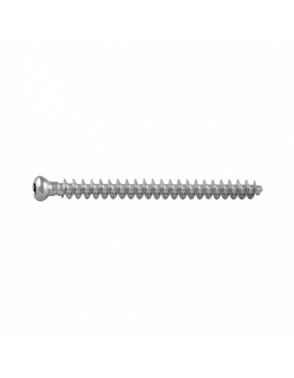 Cancellous Screw