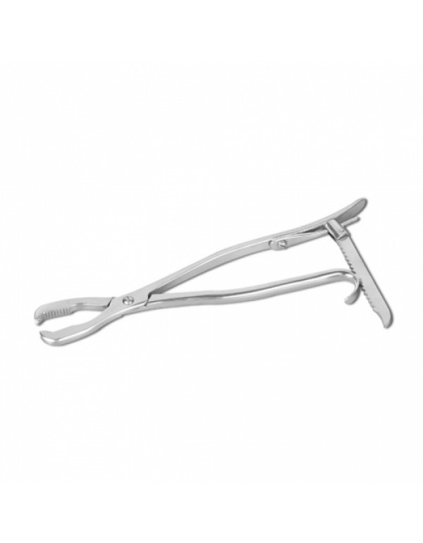 Lane Bone Holding Forceps