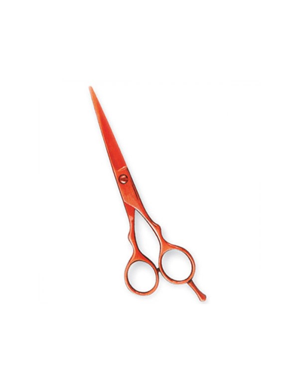 Professional Hair Cutting Scissors